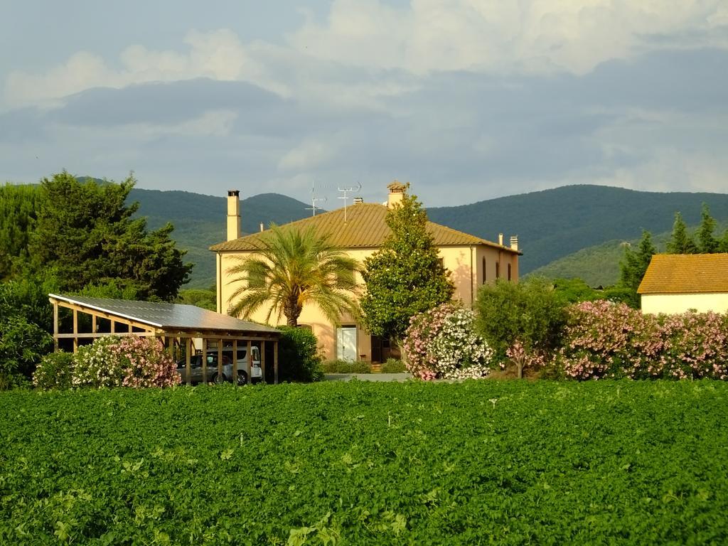 Agriturismo Sant'Uberto Bolgheri Εξωτερικό φωτογραφία