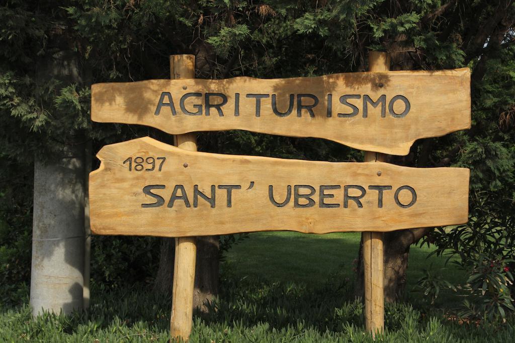 Agriturismo Sant'Uberto Bolgheri Εξωτερικό φωτογραφία